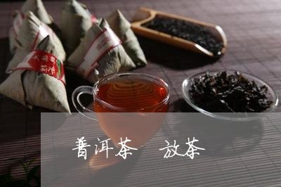 普洱茶 放茶/2023042839161